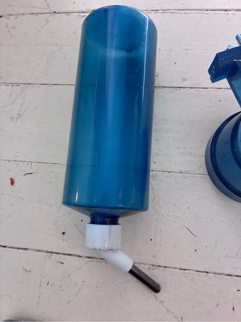 Dog Water Bottle for Crate Cage Pet Small Animal Auto Water Dispenser Feeding